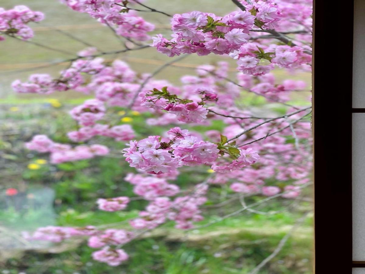 Toyako Yellow House By Lake Toya מראה חיצוני תמונה
